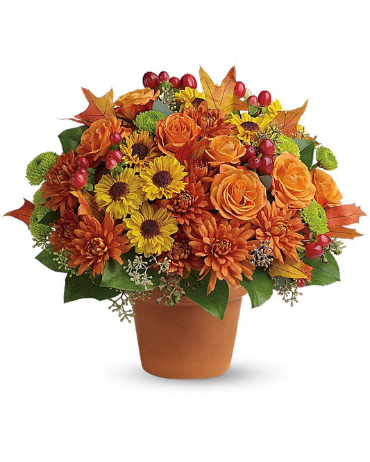 Sugar Maples - Karen's Floral Expressions