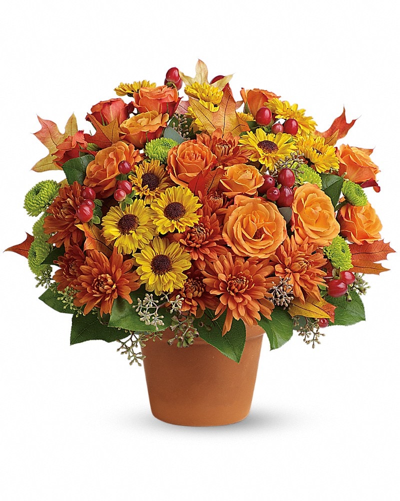 Sugar Maples - Karen's Floral Expressions