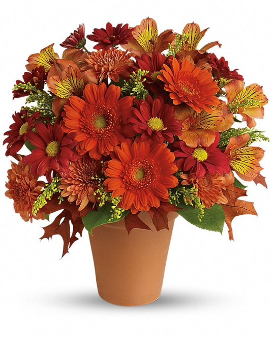 Golden Glow - Karen's Floral Expressions