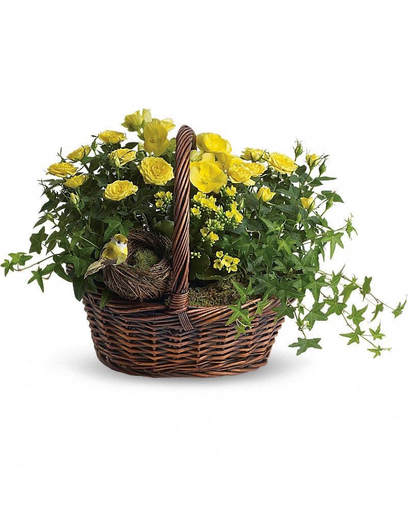 Yellow Trio Basket - Karen's Floral Expressions