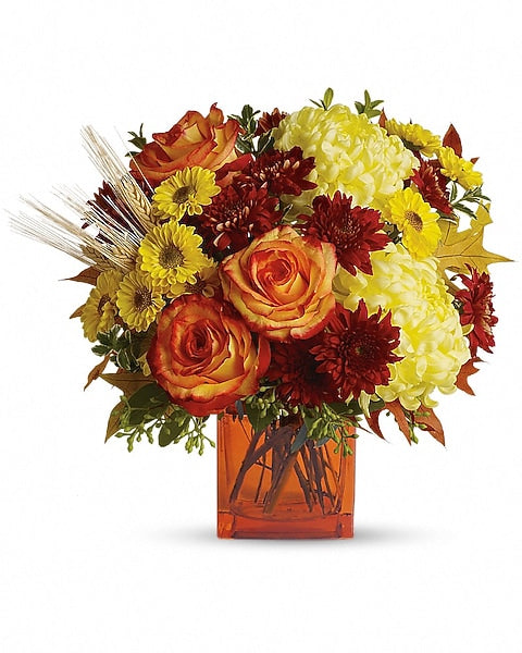 Autumn Expression