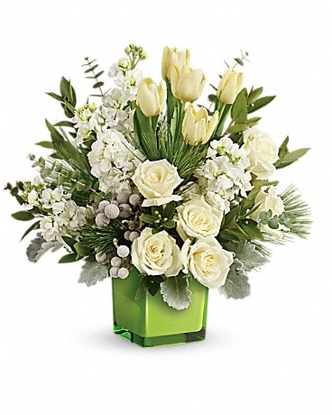 Winter Pop Bouquet