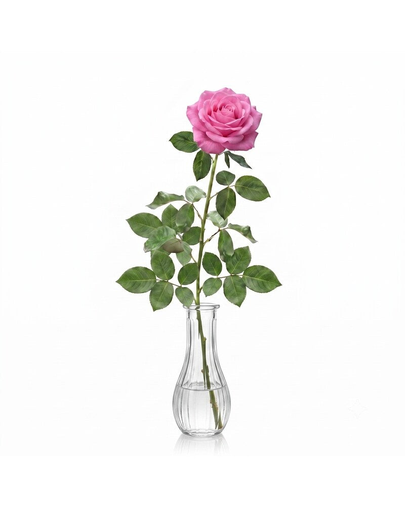 Single Pink Rose - Karen's Floral Expressions
