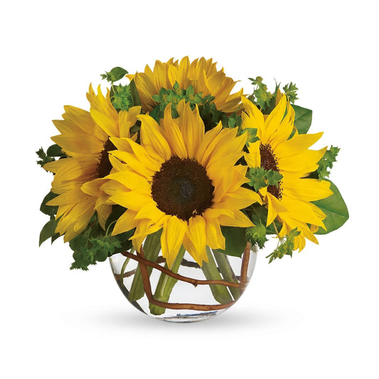 Sunny Sunflowers – Large fresh-cut sunflowers and greenery in a clear glass bubble bowl vase by Karen's Floral Expression, Bolingbrook