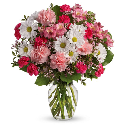 Sweet Tenderness – White daisies, pink carnations, alstroemeria and waxflower in a clear glass vase by Karen's Floral Expression, Bolingbrook