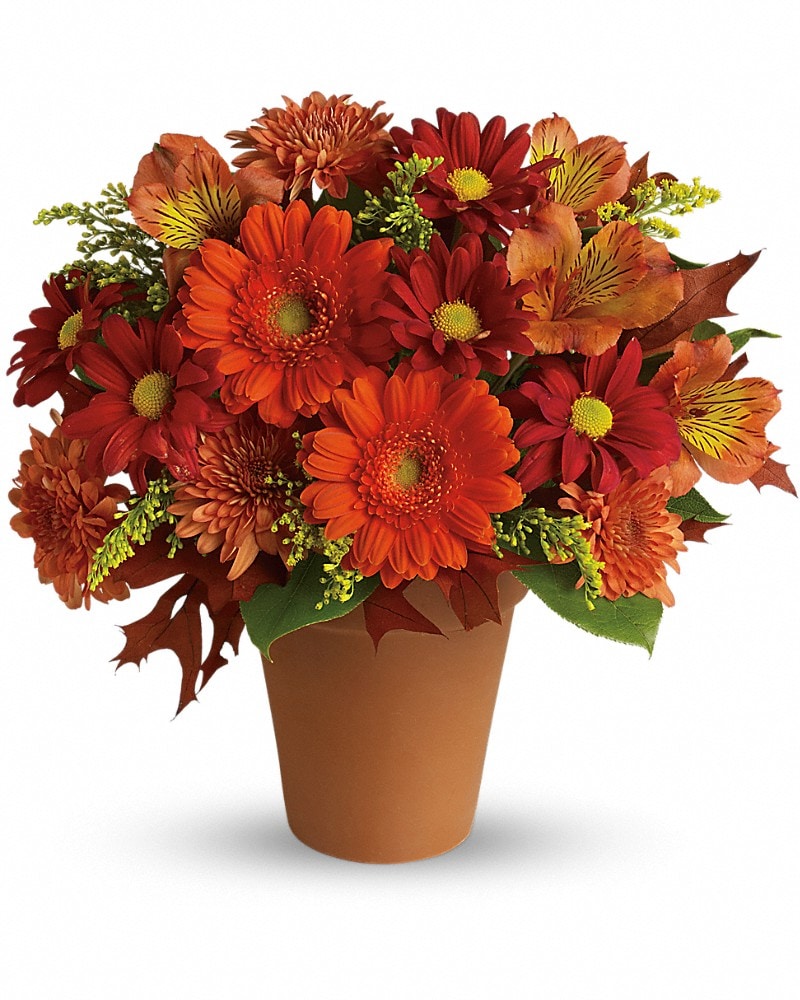 Golden Glow - Karen's Floral Expressions