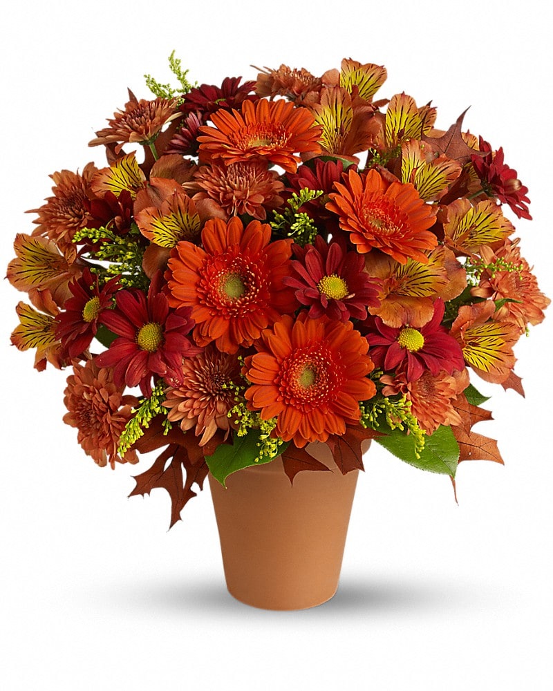 Golden Glow - Karen's Floral Expressions