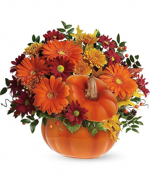 Country Pumpkin