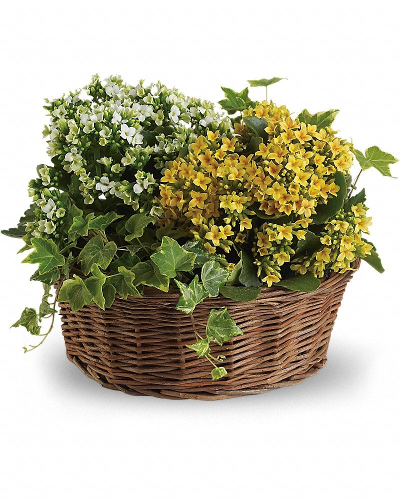 Basket of Joy - Karen's Floral Expressions