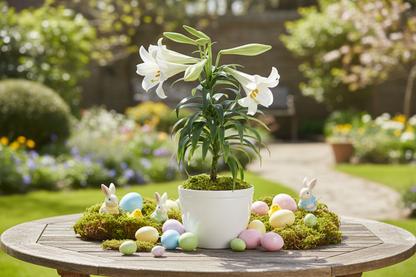 Easter Lily Plant with Easter Decor