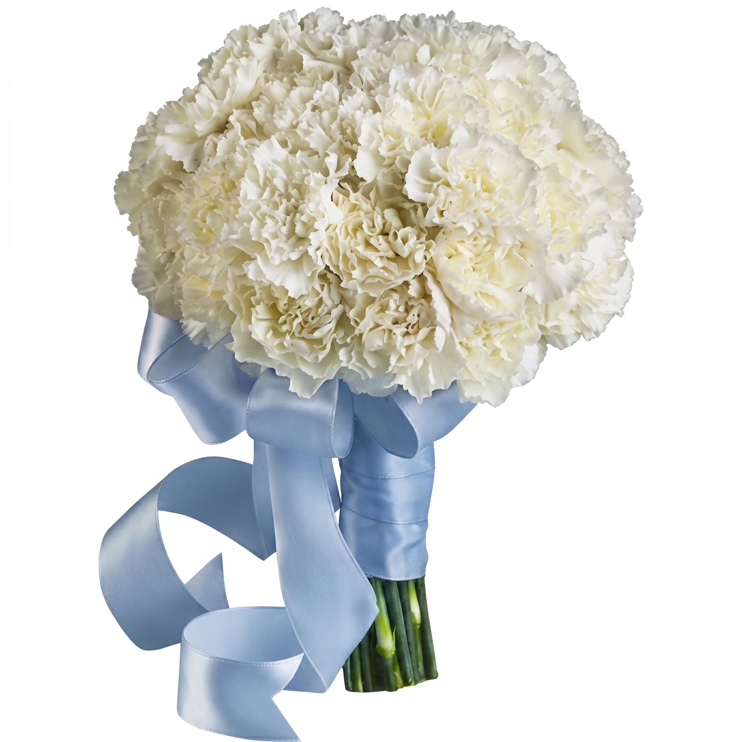 Sweet white carnation prom hand-tied bouquet with dome of ivory carnations and pale blue satin ribbon bow
