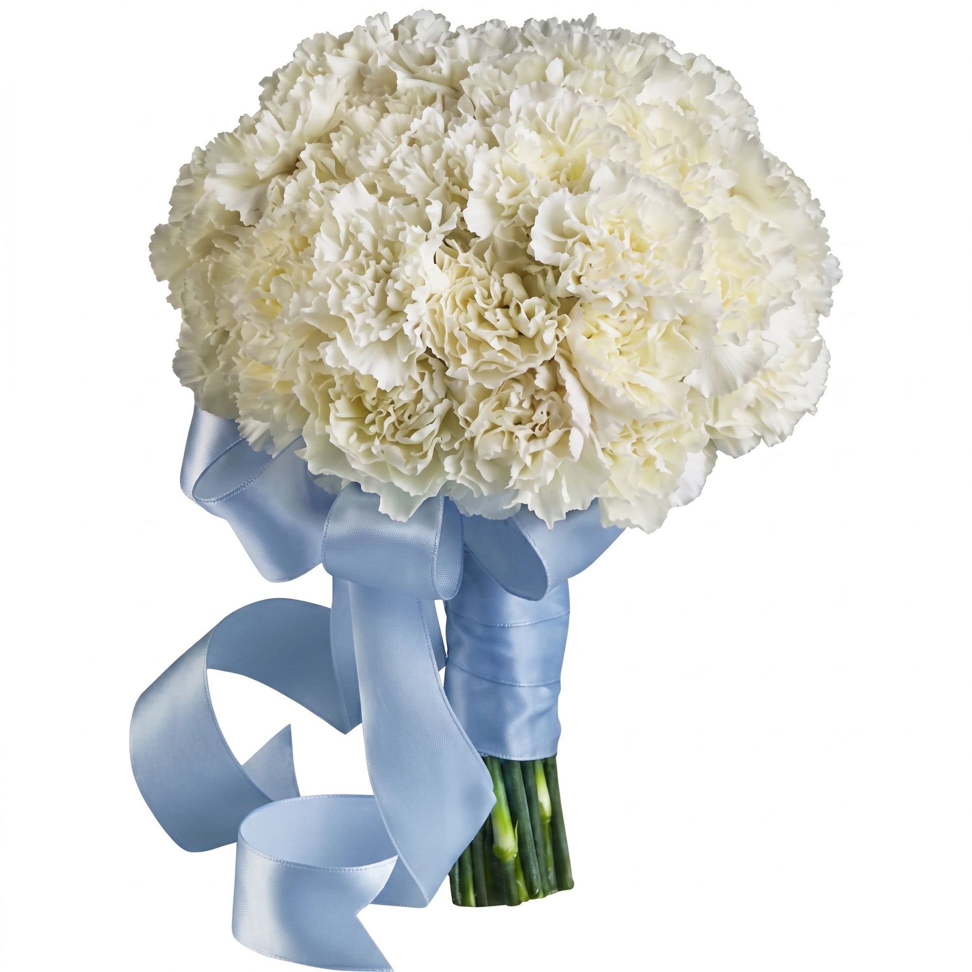 Sweet white carnation prom hand-tied bouquet with dome of ivory carnations and pale blue satin ribbon bow