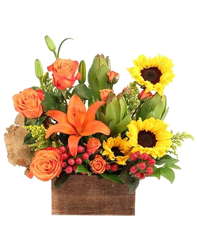 Autumn Radiance - Karen's Floral Expressions