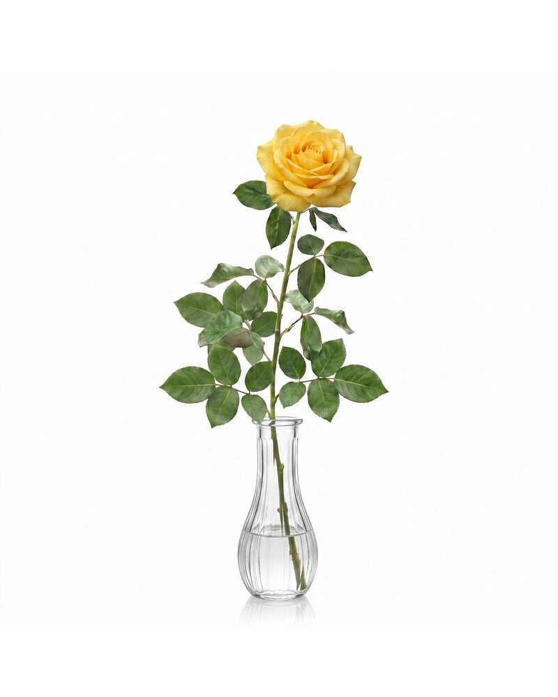 Single Yellow Rose - Karen's Floral Expressions