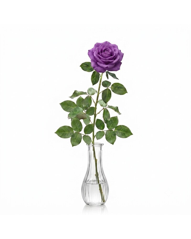 Single Purple Rose - Karen's Floral Expressions