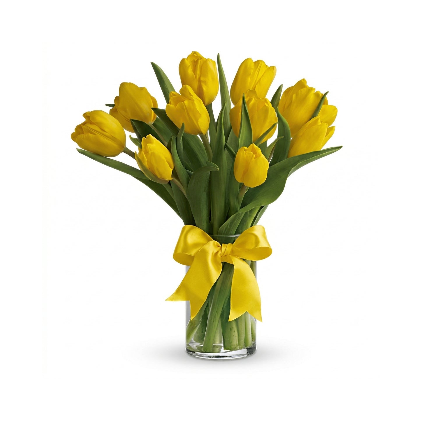 Sunny Yellow Tulips